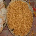 Vraj-Yatra-2014- (2873)